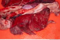 RAW meat pork viscera 0059